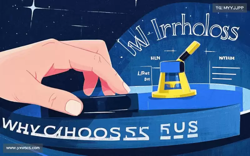 行业领先的理由